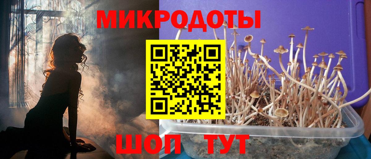 Сыктывкар  Псилоцибиновые грибы MAGIC MUSHROOMS  Вход с VPN 